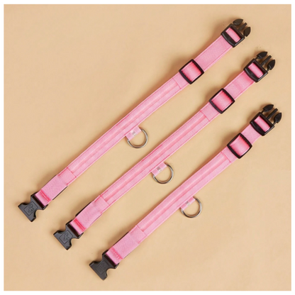 Collar Luminoso LED Recargable para perros