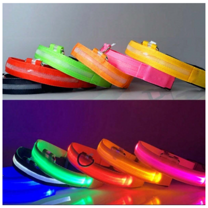 Collar Luminoso LED Recargable para perros