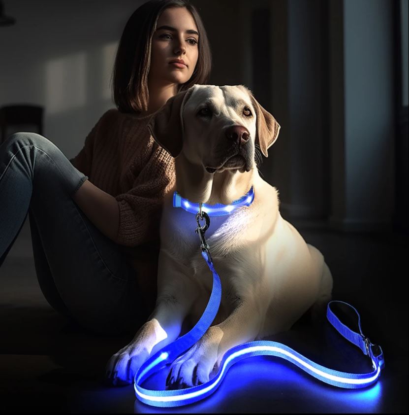 Correa LED para mascotas